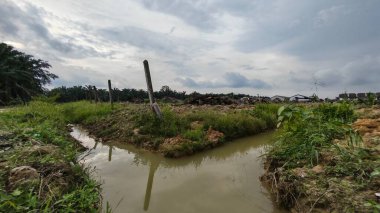 Plantasyon alanının çevresindeki basit kırsal drenaj sistemi ile gündüz gökyüzü sahnesi ön planda..