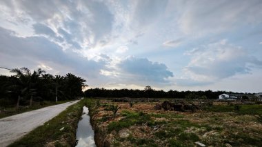 Plantasyon alanının çevresindeki basit kırsal drenaj sistemi ile gündüz gökyüzü sahnesi ön planda..