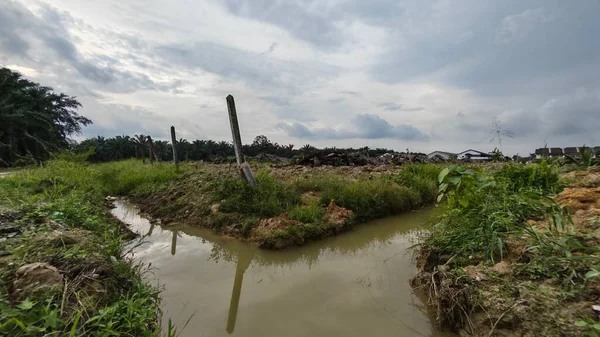 Plantasyon alanının çevresindeki basit kırsal drenaj sistemi ile gündüz gökyüzü sahnesi ön planda..