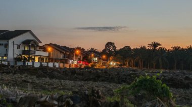 Renkli şafak vakti gökyüzü sahnesi. Tarlanın etrafındaki yabani bitki örtüsü ön planda..