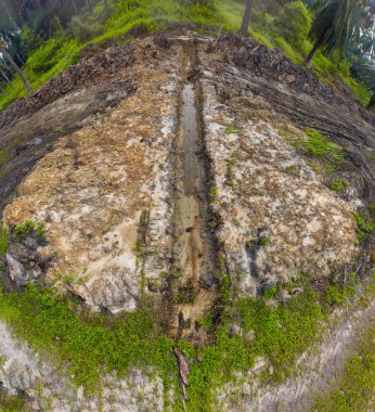Palmiye yağı çiftliğindeki izole kırsal tarım arazisinin hava manzarası