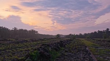 Sessiz Asya çiftliğinde, sabahın erken saatlerinde gökyüzüne bakıyorum..