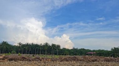 Sessiz Asya çiftliğinde, sabahın erken saatlerinde gökyüzüne bakıyorum..