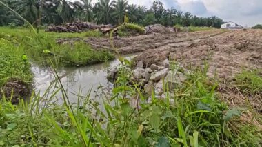 Sessiz Asya çiftliğinde, sabahın erken saatlerinde gökyüzüne bakıyorum..