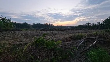 Sessiz Asya çiftliğinde, sabahın erken saatlerinde gökyüzüne bakıyorum..