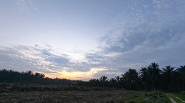 Sessiz Asya çiftliğinde, sabahın erken saatlerinde gökyüzüne bakıyorum..