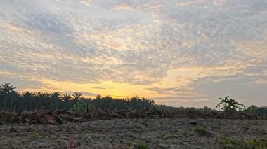 Sessiz Asya çiftliğinde, sabahın erken saatlerinde gökyüzüne bakıyorum..