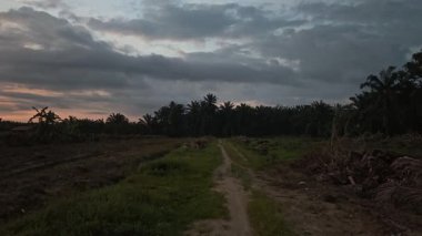 Sessiz Asya çiftliğinde, sabahın erken saatlerinde gökyüzüne bakıyorum..