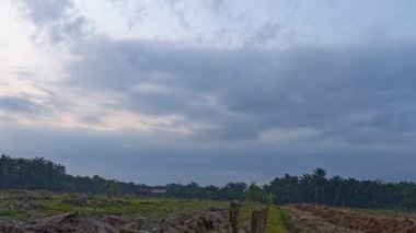 Sessiz Asya çiftliğinde, sabahın erken saatlerinde gökyüzüne bakıyorum..
