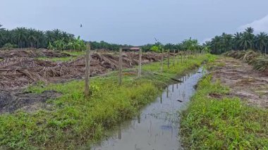Manzara, tarla arazisindeki insan yapımı drenaj sisteminin etrafında dönüyor..