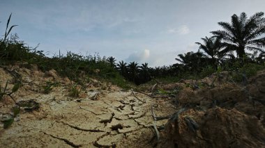 Huzurlu kırsal bölgede sabahın erken saatlerinde güzel gökyüzüne bakıyorum..