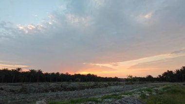 Huzurlu kırsal bölgede sabahın erken saatlerinde güzel gökyüzüne bakıyorum..