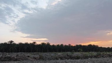Huzurlu kırsal bölgede sabahın erken saatlerinde güzel gökyüzüne bakıyorum..