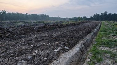 Yeni sürülmüş topraklarda basit bir adamın drenaj sistemi oluşturduğu sahne.