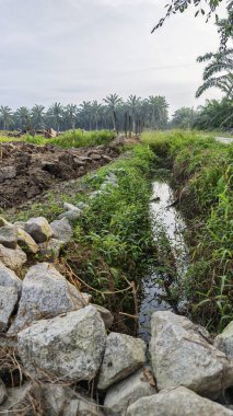 Yeni sürülmüş topraklarda basit bir adamın drenaj sistemi oluşturduğu sahne.