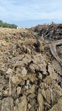 Güzel bir gündüz manzarası olan saban toprağının yakın çekimi..