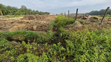 Güzel bir gündüz manzarası olan saban toprağının yakın çekimi..
