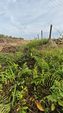Güzel bir gündüz manzarası olan saban toprağının yakın çekimi..