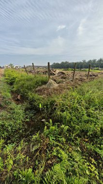 Güzel bir gündüz manzarası olan saban toprağının yakın çekimi..