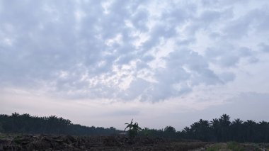 Huzurlu kırsal alanda sabahın erken saatlerinde gökyüzü ve ön planda bitki örtüsü..