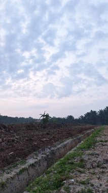 Huzurlu kırsal alanda sabahın erken saatlerinde gökyüzü ve ön planda bitki örtüsü..
