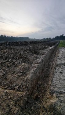 Huzurlu kırsal alanda sabahın erken saatlerinde gökyüzü ve ön planda bitki örtüsü..