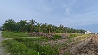 Yeni sürülmüş topraklarda basit bir adamın drenaj sistemi oluşturduğu sahne.