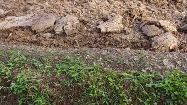 Güzel gündüz çevresi olan saban toprağına bakıyorum..