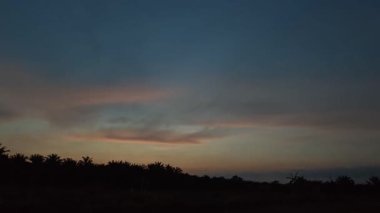 Güzel sisli sabahın erken saatlerinde huzurlu kırsal bölgede gökyüzüne bakıyorum..