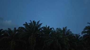 Güzel sisli sabahın erken saatlerinde huzurlu kırsal bölgede gökyüzüne bakıyorum..