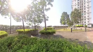 Kuala Lumpur, Malezya. 1 Aralık 2025: Minik yeşil yapraklı Thunberg Spirea otlağı çimenli bitkisini Gökyüzü Apartman Parkı, Puchong Jaya.