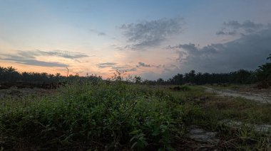 Huzurlu kırsal alanda sabahın erken saatlerinde gökyüzü ve ön planda bitki örtüsü..