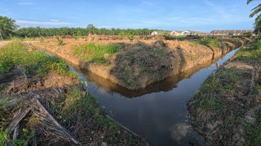 Yağmurdan sonra ekili çevre manzarası.