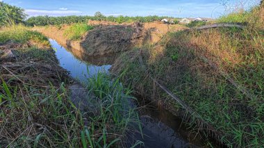 Yağmurdan sonra ekili çevre manzarası.