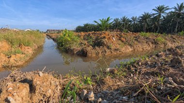 Yağmurdan sonra ekili çevre manzarası.