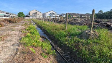 Yağmurdan sonra ekili çevre manzarası.
