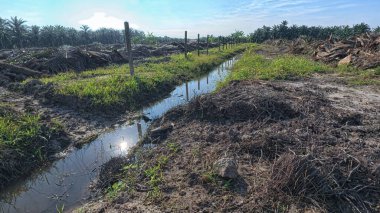 Yağmurdan sonra ekili çevre manzarası.