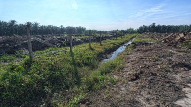 Yağmurdan sonra ekili çevre manzarası.