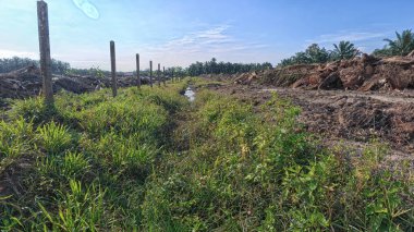 Yağmurdan sonra ekili çevre manzarası.