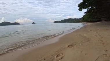 Okyanus dalgalarıyla kumlu sahilde yapraklarla kaplı yeşil yaprakların manzarası..