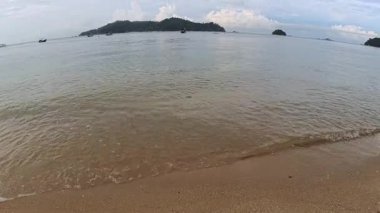 Okyanus dalgalarıyla kumlu sahilde yapraklarla kaplı yeşil yaprakların manzarası..