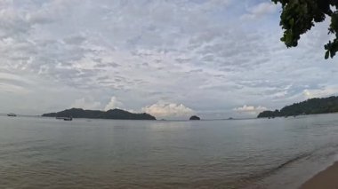 Okyanus dalgalarıyla kumlu sahilde yapraklarla kaplı yeşil yaprakların manzarası..