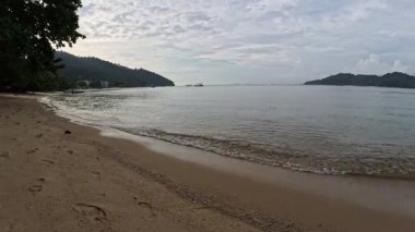 Okyanus dalgalarıyla kumlu sahilde yapraklarla kaplı yeşil yaprakların manzarası..