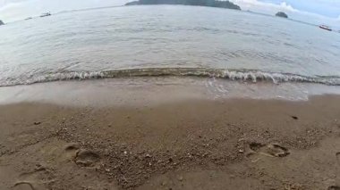 Okyanus dalgalarıyla kumlu sahilde yapraklarla kaplı yeşil yaprakların manzarası..