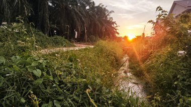 Parlak güneş ışığı yolun ortasında ışıldıyor. Mesafe ufku..