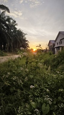 Parlak güneş ışığı yolun ortasında ışıldıyor. Mesafe ufku..