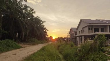 Güneş ışığı, huzurlu kırsal çayırların etrafındaki bitki örtüsünün içinden ışıldıyor..