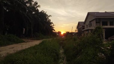 Güneş ışığı, huzurlu kırsal çayırların etrafındaki bitki örtüsünün içinden ışıldıyor..