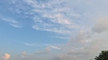 Yaban çiçeklerinin güzel çalıları çayırlarda yetişen yabani otlar ve sabah gökyüzü arka planı.