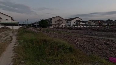 Yaban çiçeklerinin güzel çalıları çayırlarda yetişen yabani otlar ve sabah gökyüzü arka planı.